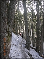 2011-03-08 08-09-12-黑森林踏雪行.JPG